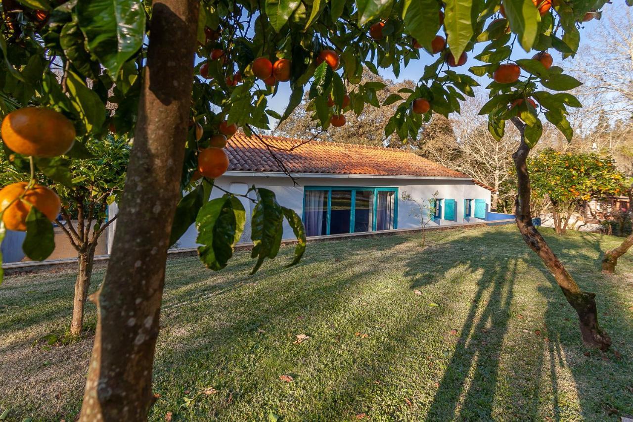 Vale Da Silva Villas - Homes Албергария-а-Веля Екстериор снимка
