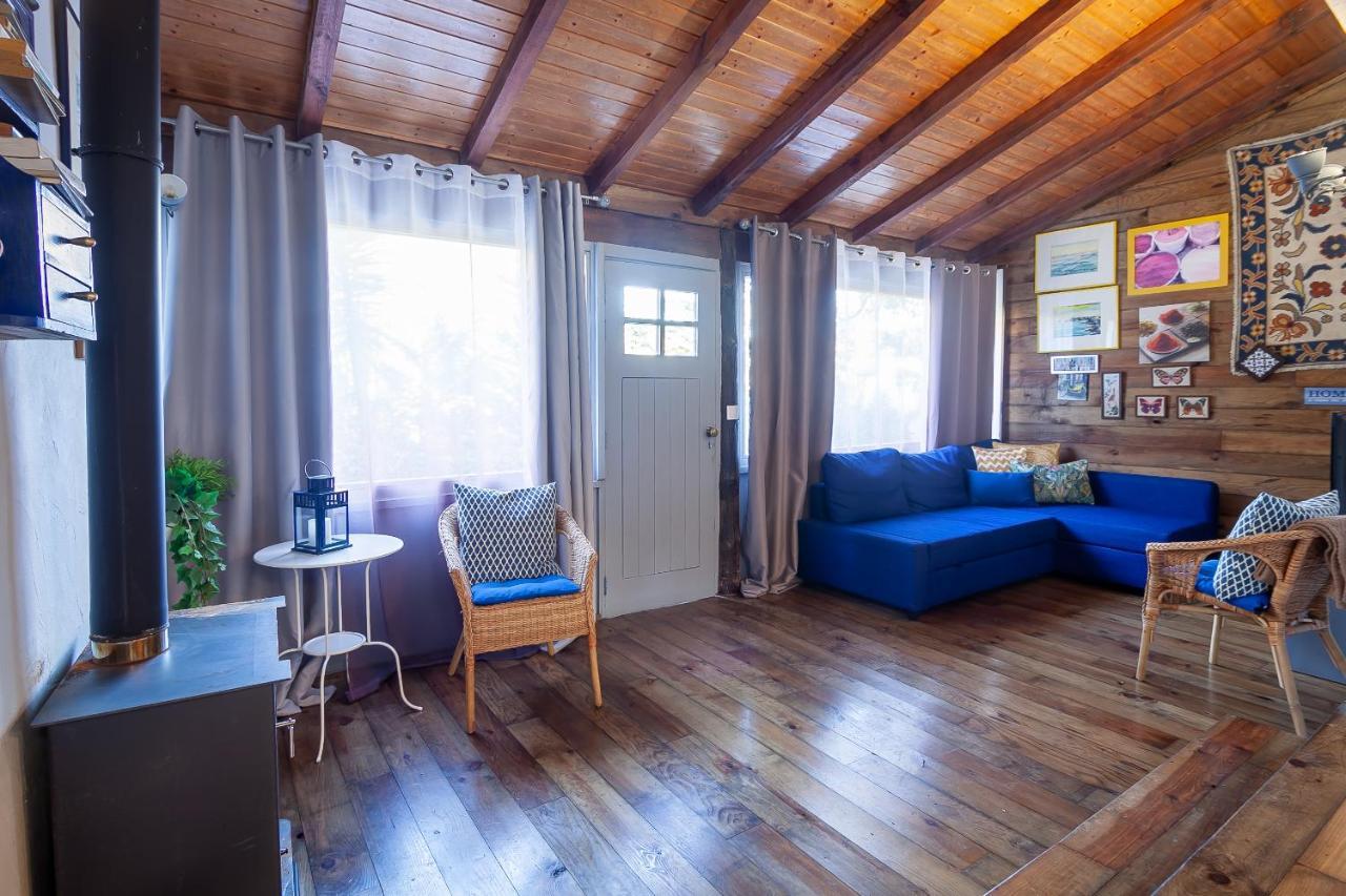 Vale Da Silva Villas - Homes Албергария-а-Веля Екстериор снимка
