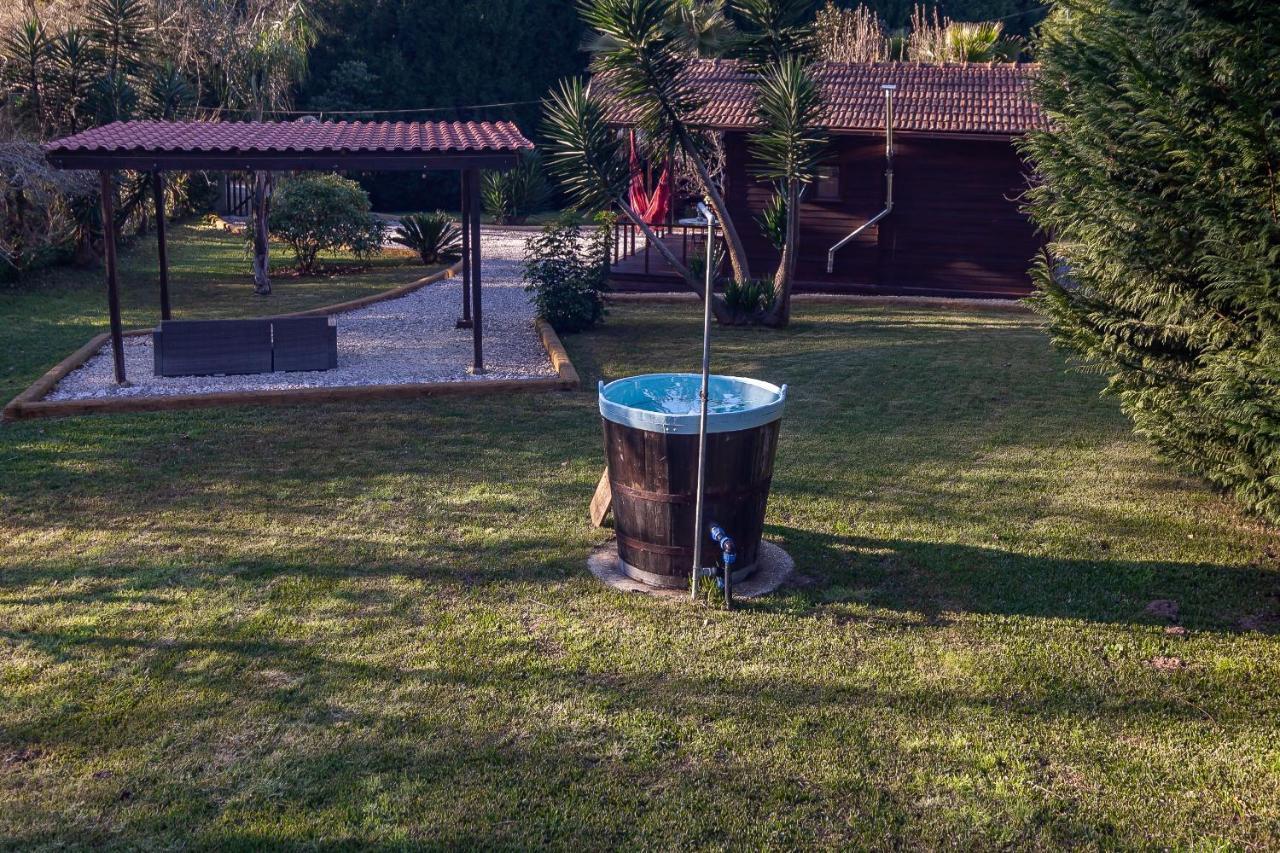 Vale Da Silva Villas - Homes Албергария-а-Веля Екстериор снимка